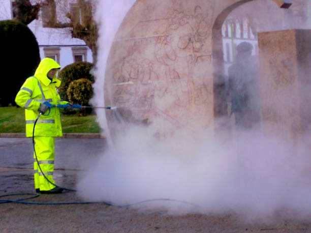 Best House Pressure Washing  in Thoreau, NM