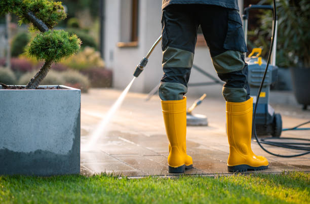 Best Fence Pressure Washing  in Thoreau, NM